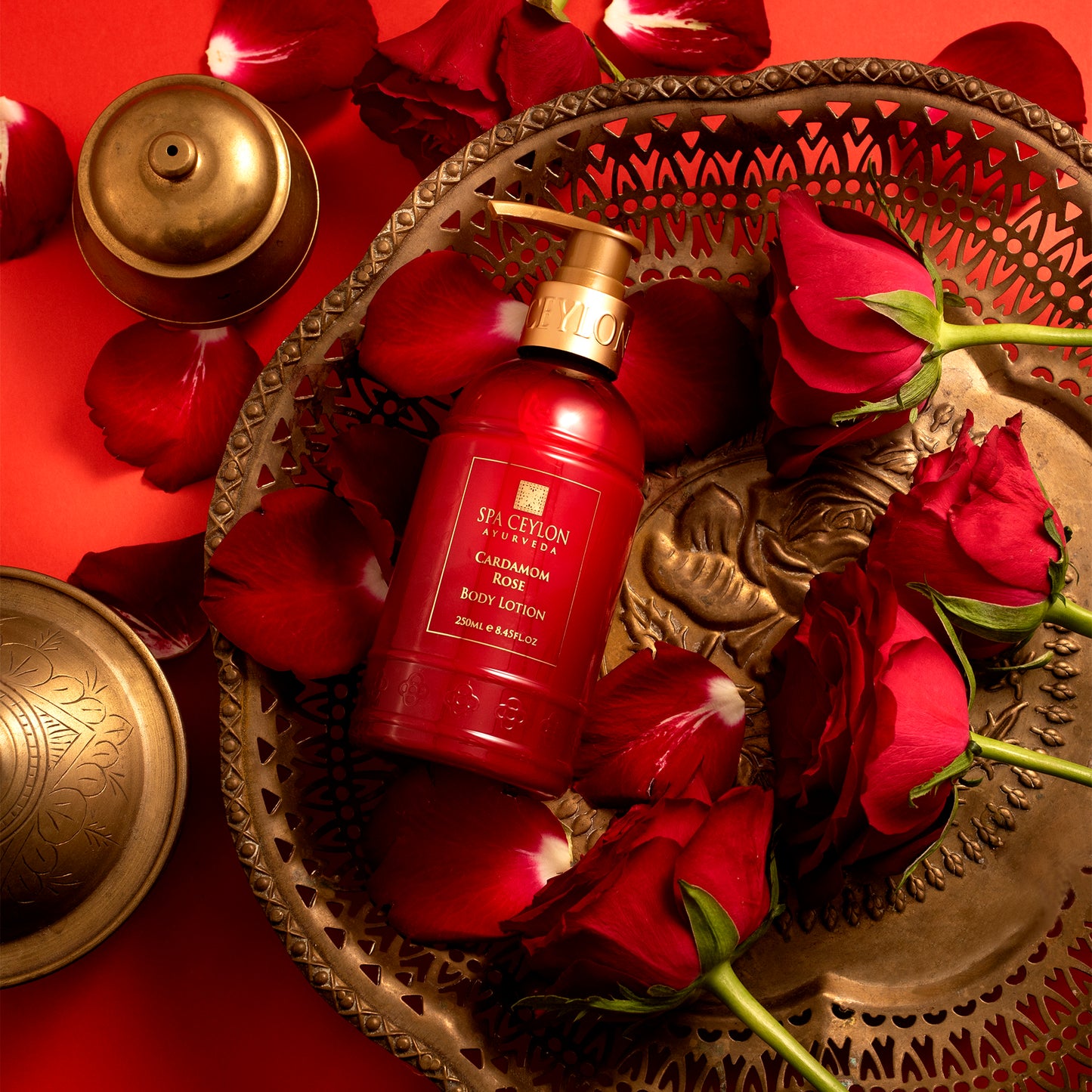 CARDAMOM ROSE - HAND & BODY LOTION