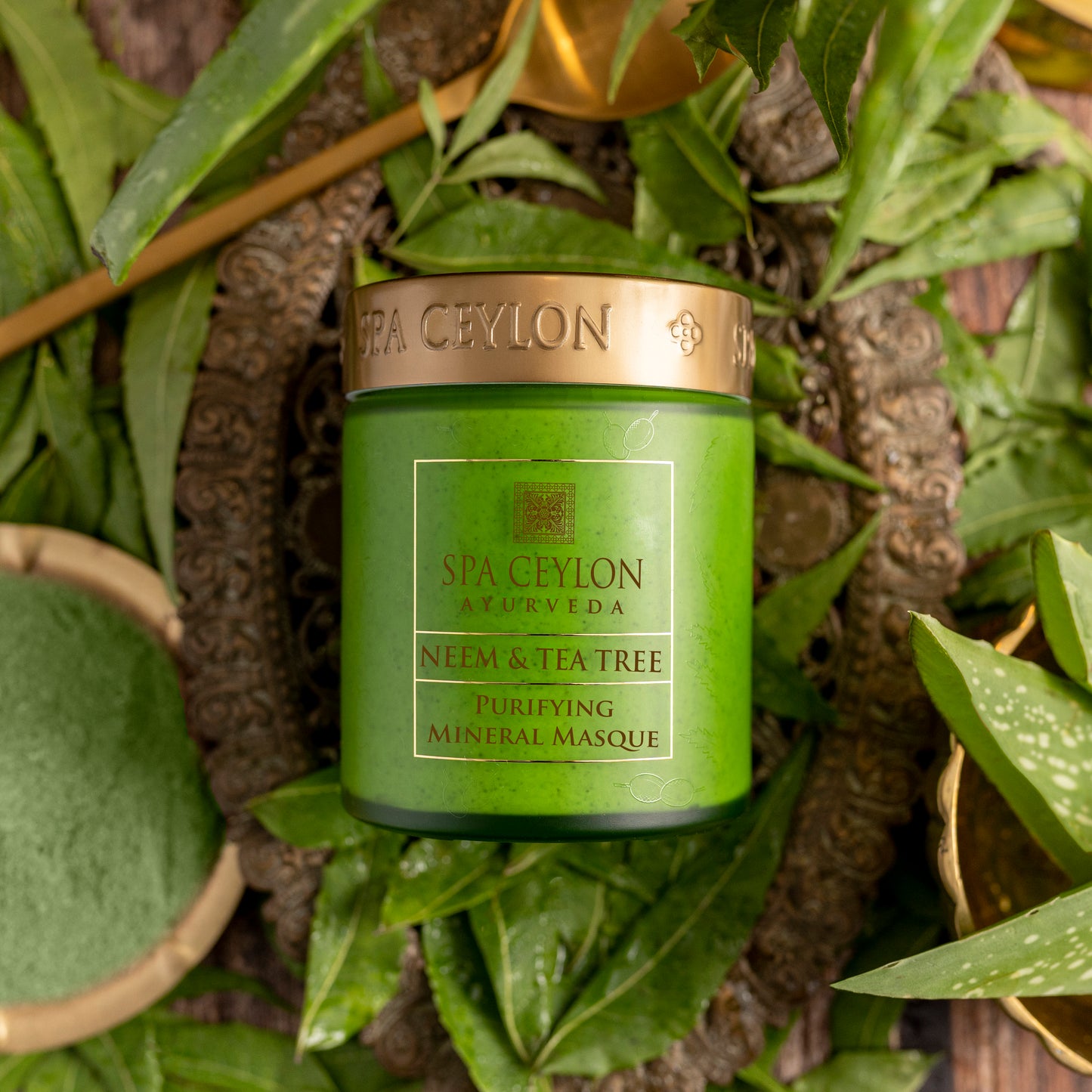 NEEM & TEA TREE - Purifying Mineral Masque