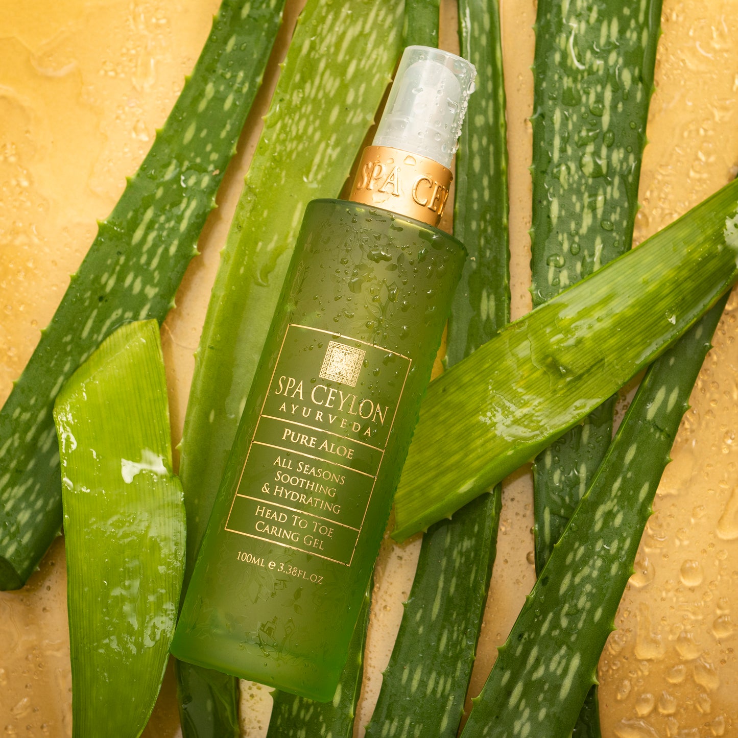 PURE ALOE - ALL SEASONS - SOOTHING & HYDRATING HEAD TO TOE CARING GEL