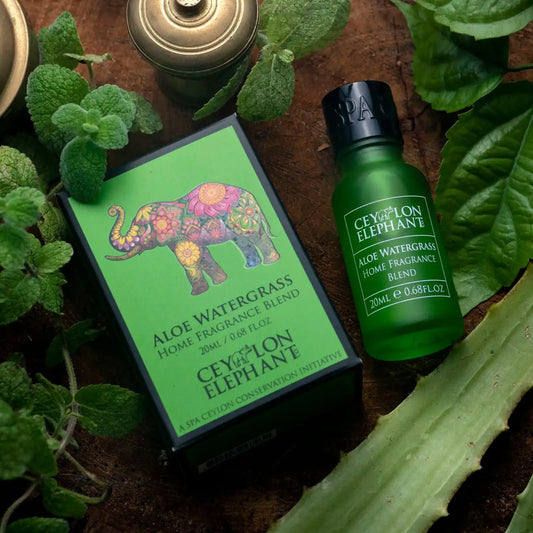 Aloe Watergrass home fragrance blend bottle and box with aloe and mint leaves on a wooden surface