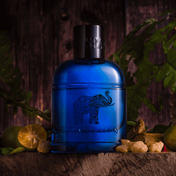 Forest Tribe - Eau de Perfume